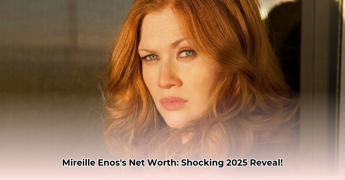 mireille-enos-net-worth